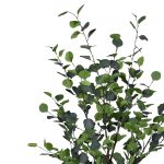Διακοσμητικό φυτό Eucalyptus Ι σε γλάστρα Inart πράσινο pp Υ150εκ - Image 2