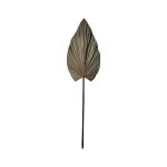 Διακοσμητικό φύλλο Leafen I Inart φυσικό palm leaf 130εκ