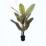 Διακοσμητικό φυτό σε γλάστρα Calathea Inart πράσινο Φ68x120εκ
