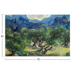 ΠΙΝΑΚΑΣ TOIXOY ΣΕΙΡΑ GOBI HM4847 ΕΚΤΥΠΩΜΕΝΟΣ ΚΑΜΒΑΣ 70x3(πάχος)x45Yεκ. - Image 3