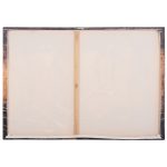 ΠΙΝΑΚΑΣ TOIXOY ΣΕΙΡΑ GOBI HM4861 ΕΚΤΥΠΩΜΕΝΟΣ ΚΑΜΒΑΣ 98x2,5(πάχος)x68Υεκ. - Image 9